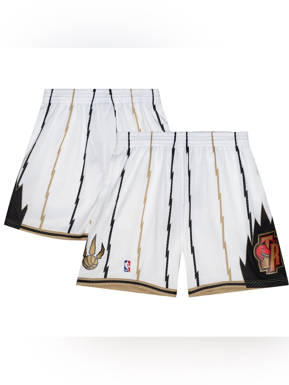 Toronto Raptors Mitchell & Ness 1998-99 Hardwood Classics Swingman Shorts Size M